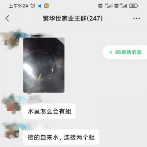 太惡心！小區(qū)自來水中驚現(xiàn)“活物”