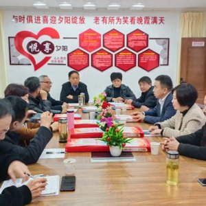 鹿城鎮(zhèn)老年協(xié)會學習宣傳貫徹黨的二十大精神，結合實際做好自身工作討論會召開
