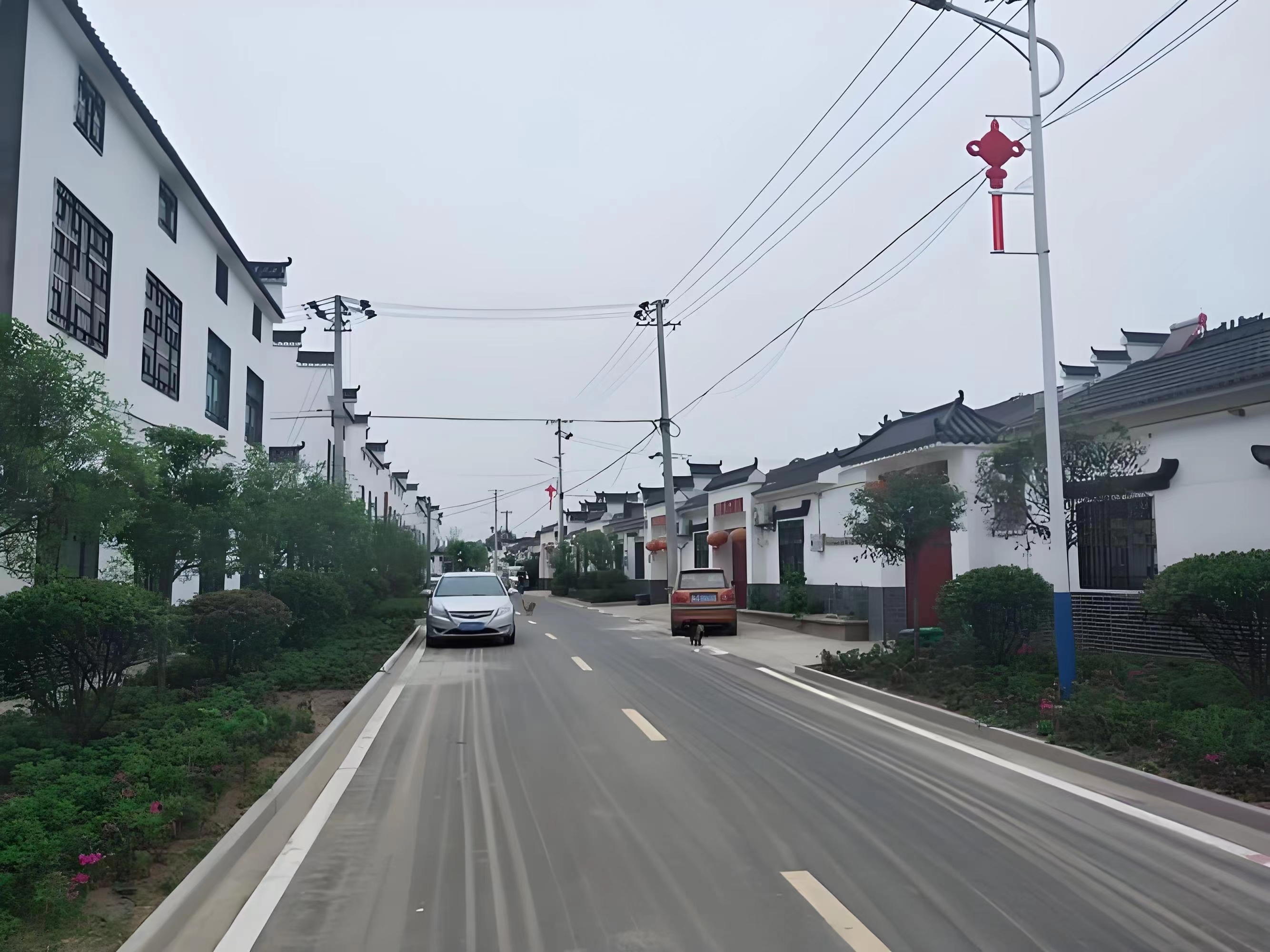 傳承紅色基因，續(xù)寫潁上黃壩發(fā)展新篇章