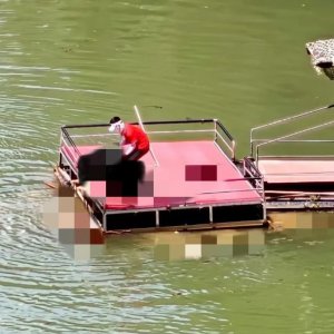 馬上評(píng)｜蹦極不是玩命，景區(qū)安全之繩絲毫松不得