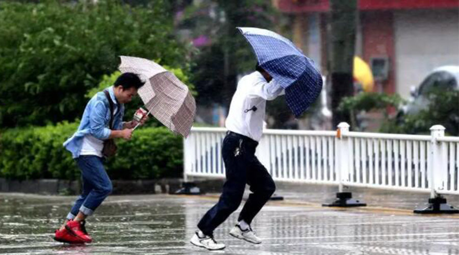 9號臺風(fēng)“馬鞍”生成！金環(huán)電器提醒大家要注意的事項
