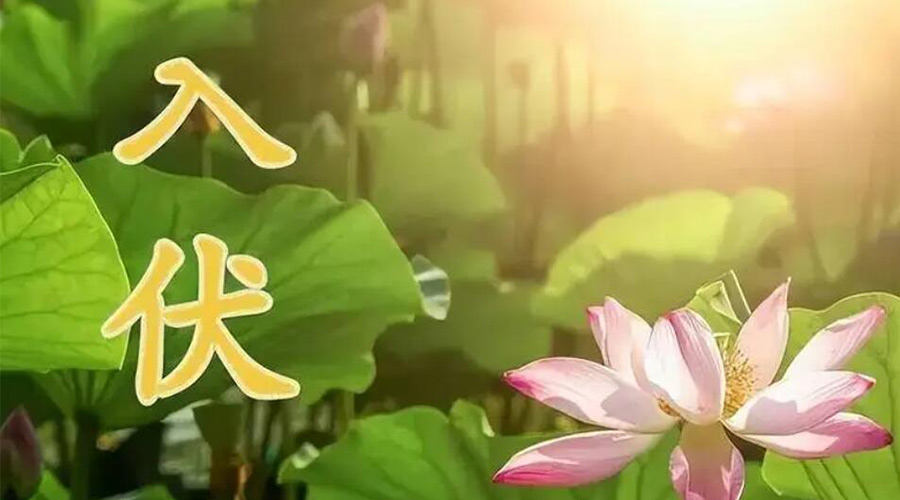 入伏天來襲！金環(huán)電器提醒大家要注意的事項(xiàng)