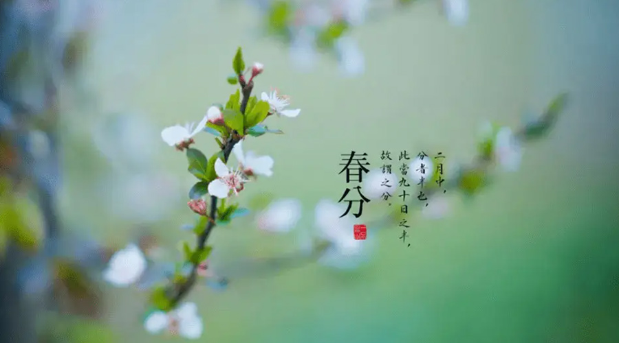 春分雨水多易生菌！金環(huán)電器提醒你衣物要注意處理