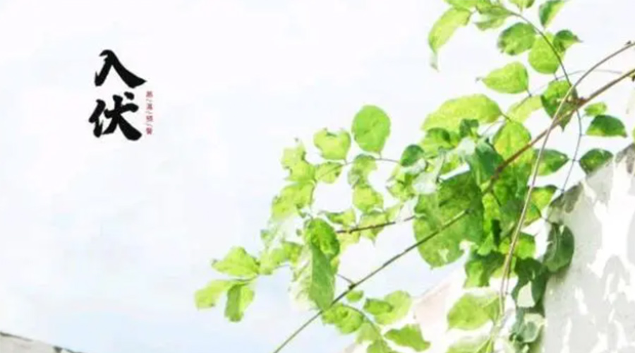 初伏時節(jié)！金環(huán)電器提醒大家要注意的事項