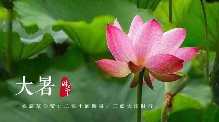 大暑時(shí)節(jié)！金環(huán)電器提醒大家要注意的事項(xiàng)